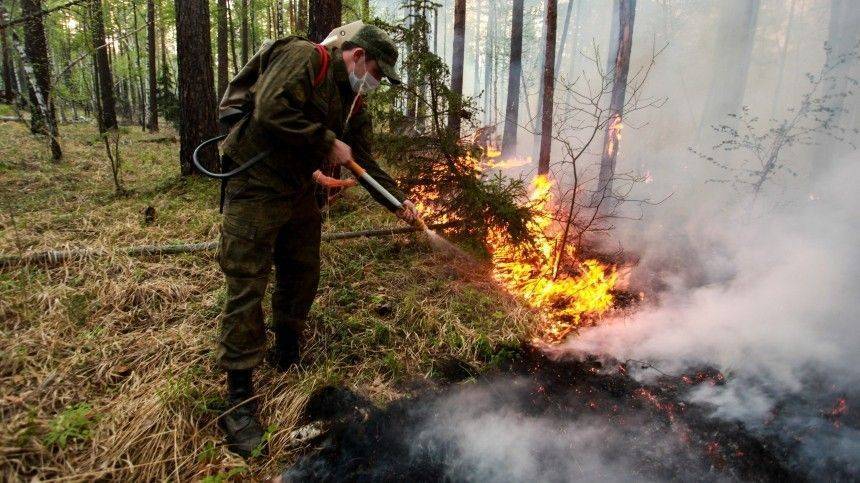 Паводки и лесные пожары стали причиной объявления повышенного уровня опасности в российских регионах