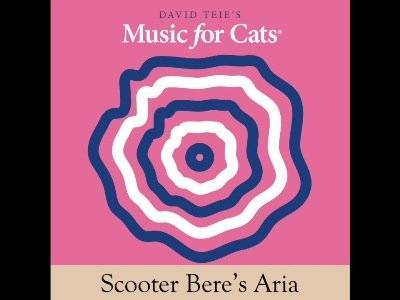 В США создали антистрессовую музыку для кошек
