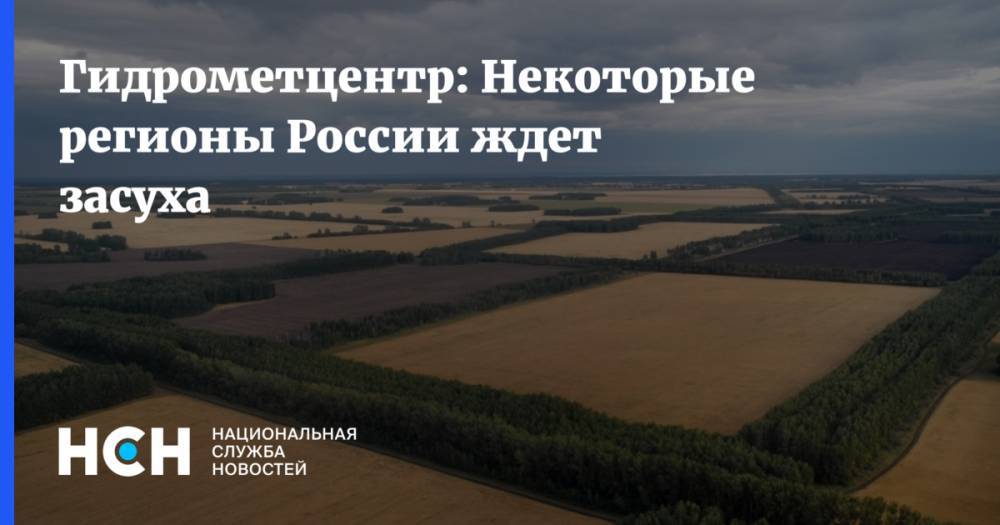 Гидрометцентр: Некоторые регионы России ждет засуха