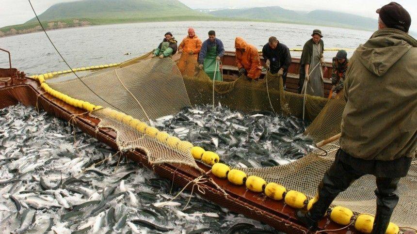 Эпидемия COVID-19 не угрожает промыслу рыбы на Камчатке