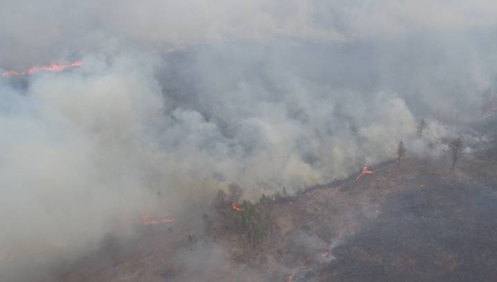 На линии огня: в Амурской области за сутки зарегистрировано 12 природных пожаров