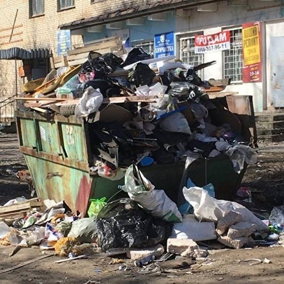 Жители Златоуста жалуются на проблемы с вывозом мусора: «Все разлетается»