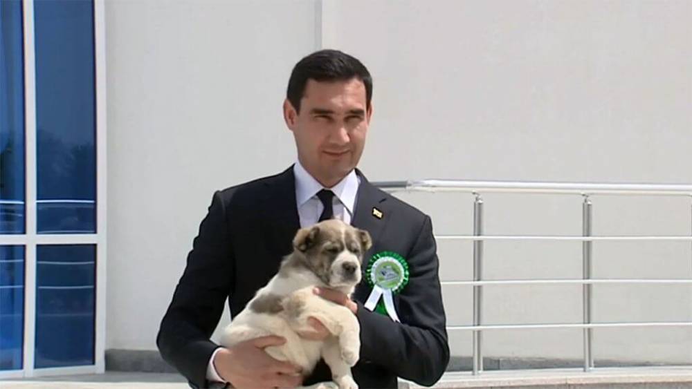 Сердар Бердымухамедов открыл зоогостиницу, а президент посвятил стих одному из щенков