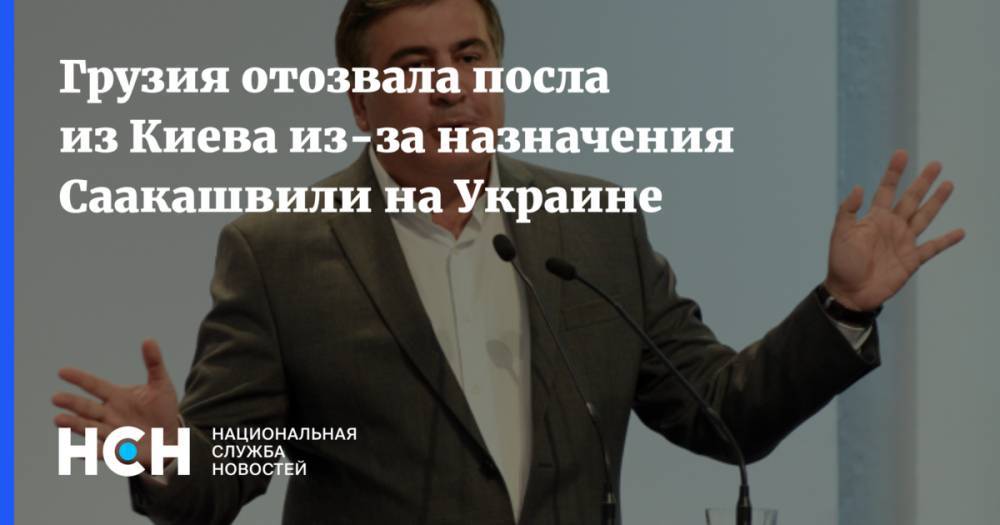Грузия отозвала посла из Киева из-за назначения Саакашвили на Украине