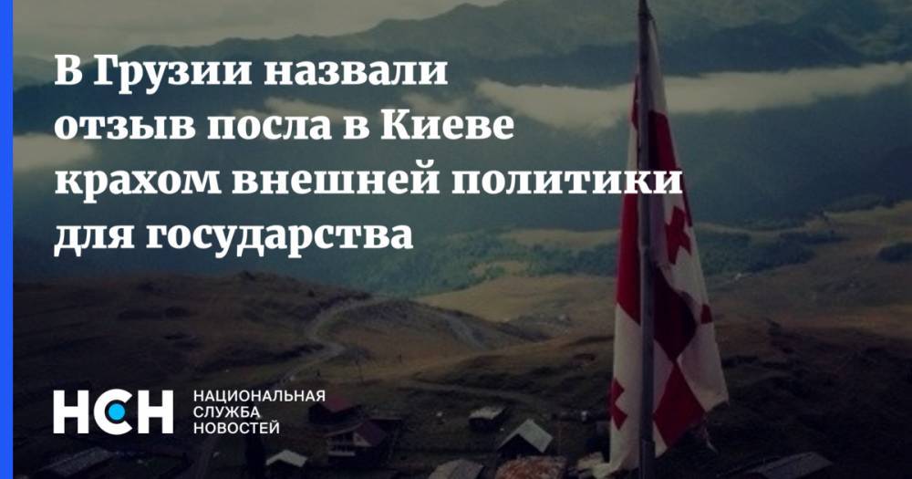 В Грузии назвали отзыв посла в Киеве крахом внешней политики для государства