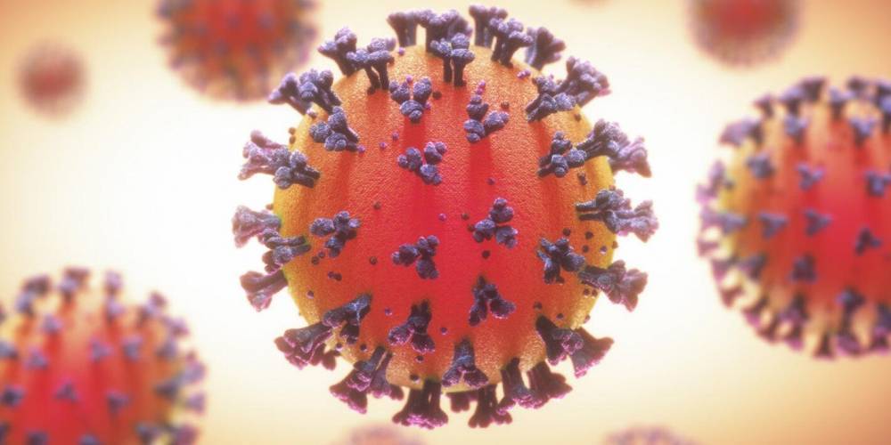 Роспотребнадзор рассказал о влиянии теплой погоды на коронавирус