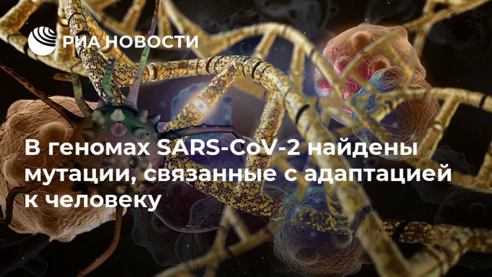 В геномах SARS-CoV-2 найдены мутации, связанные с адаптацией к человеку