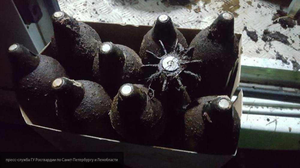 ФСБ накрыла крупный склад боеприпасов в сарае жителя Оренбурга