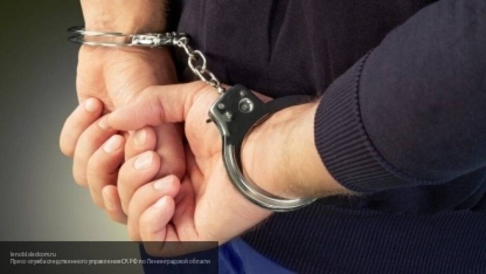 Суд арестовал основателя паблика "Омбудсмен полиции" Воронцова