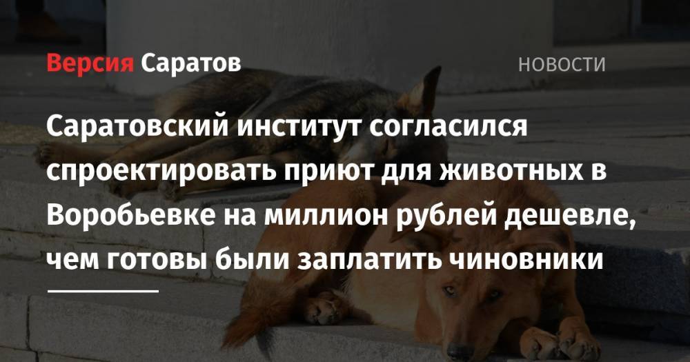 Саратовский институт согласился спроектировать приют для животных в Воробьевке на миллион рублей дешевле, чем готовы были заплатить чиновники