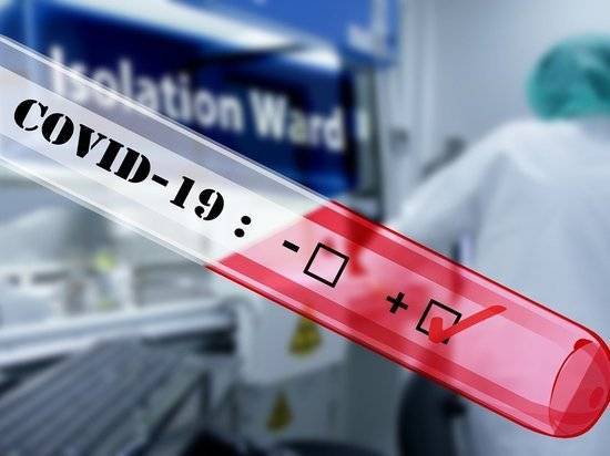 Число заразившихся COVID-19 в мире превысило 4 млн