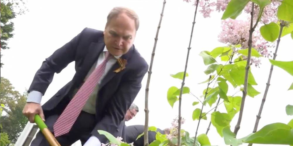 Российские дипломаты в честь Дня Победы высадили сад в посольстве в США