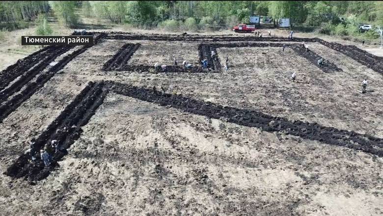 Тюменские лесники высадили «Сад Памяти» из тысячи сосен
