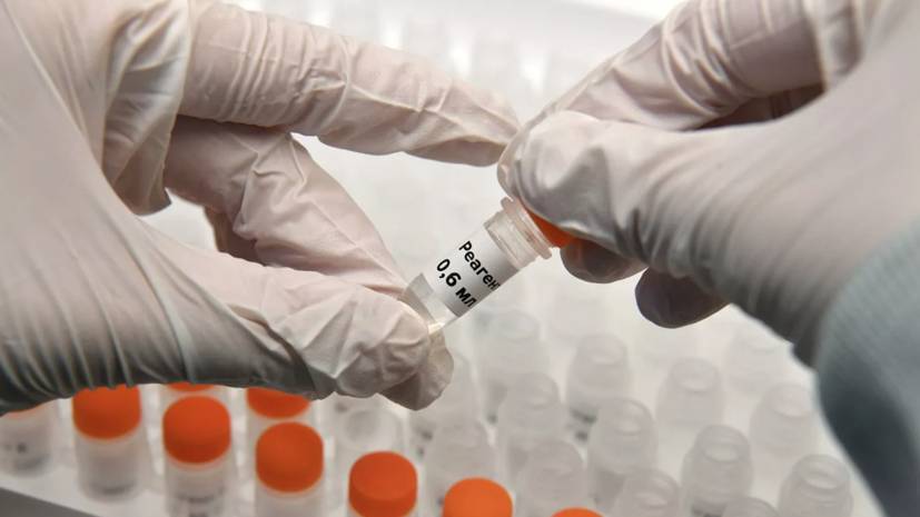 В России провели более 5 млн тестов на коронавирус