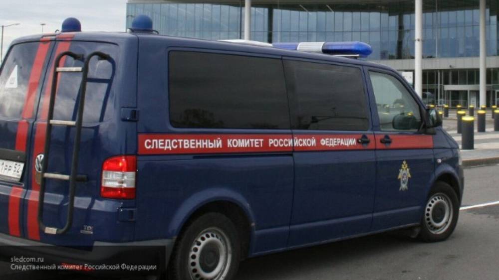 Взрыв на стихийной свалке в Новгородской области привел к травмированию ребенка