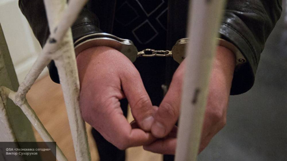 Полиция Петербурга задержала мигрантов, насиловавших 12 часов женщину