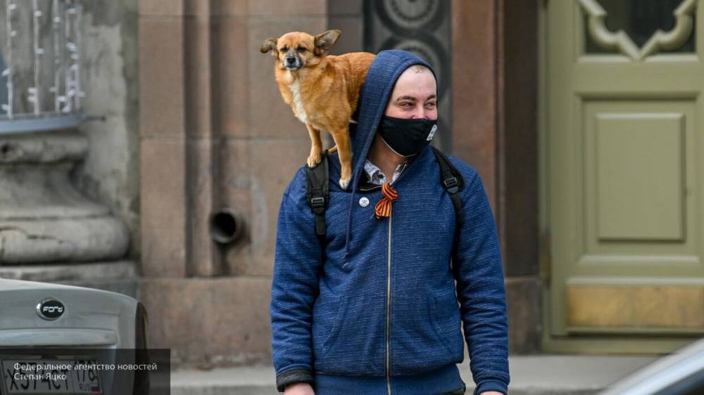 Московская полиция разъяснила, можно ли пребывать на самоизоляции не по месту прописки