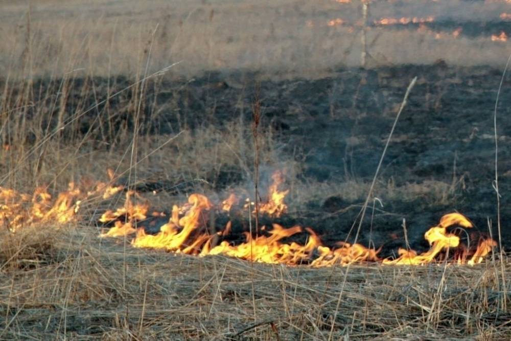 Боеприпасы взрываются на бывшем арсенале в Удмуртии, где горит трава