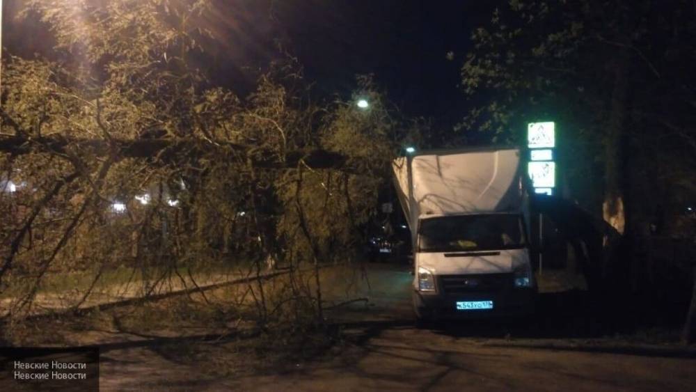 Около девяти автомобилей пострадали из-за повалившего деревья сильного ветра в Москве