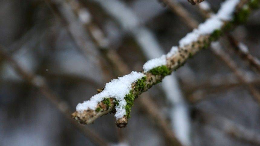 Погодные сюрпризы: первый день лета Салехард встретил снегом — видео