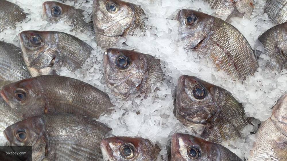 Астраханца подозревают в сбыте 23 тонн контрафактной рыбы