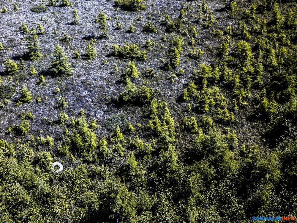 На Сахалине с дронов нашли 1000 свалок