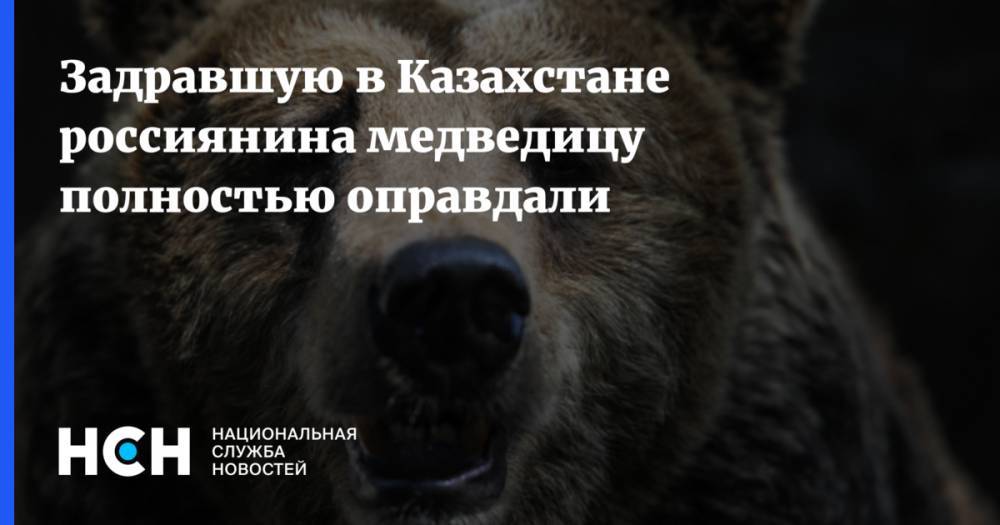 Задравшую в Казахстане россиянина медведицу полностью оправдали