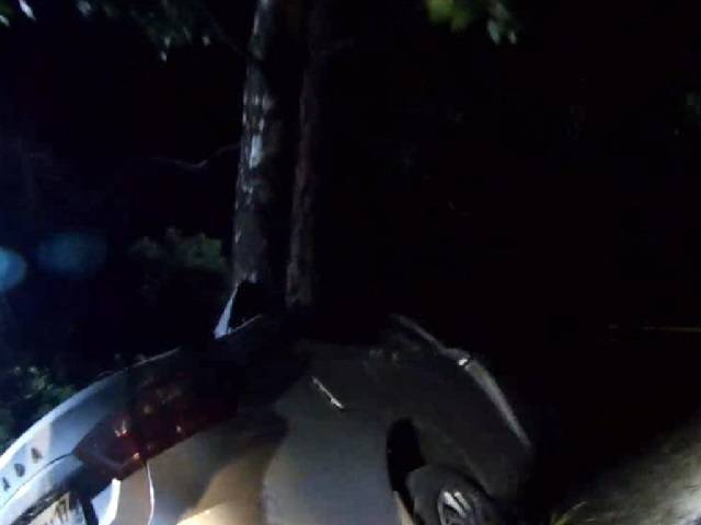 Под Миассом погиб водитель «Лады», столкнувшейся с деревом