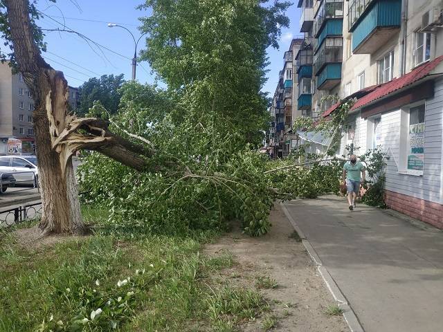 На Южном Урале ураганный ветер валил деревья и оставил без света тысячи человек