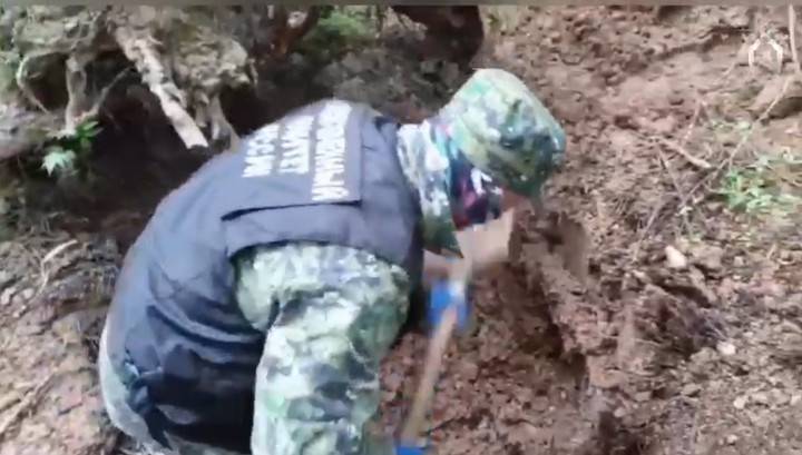 Останки жертвы "черных риелторов" найдены в лесу Вологодской области