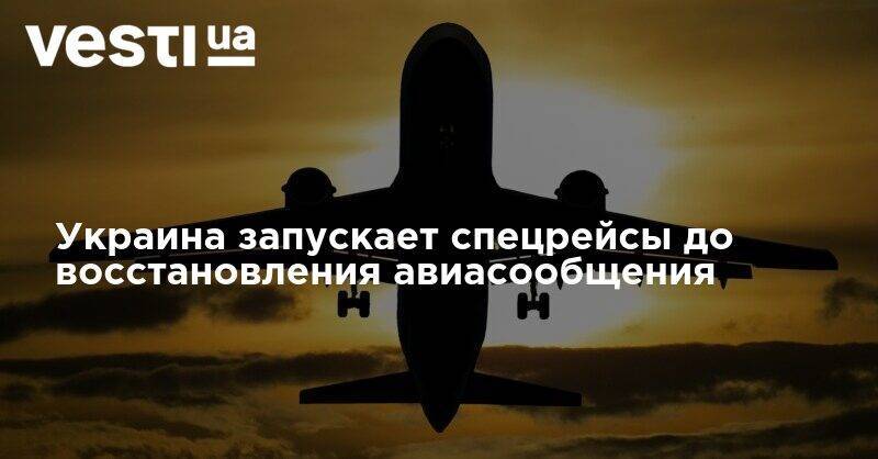 Украина запускает спецрейсы до восстановления авиасообщения