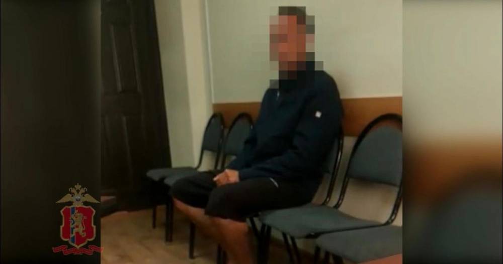 Задержан подозреваемый в убийстве 12-летней девочки под Красноярском