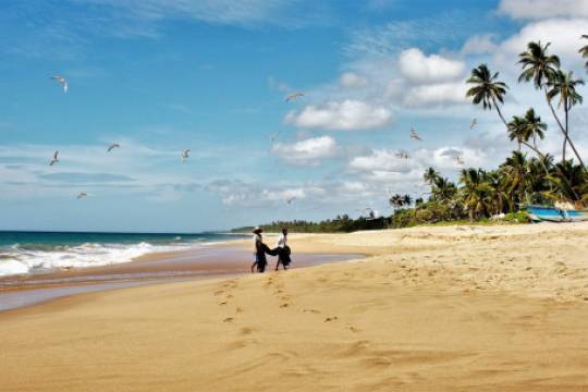 Шри-Ланка готова принять туристов в августе