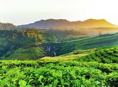 Власти Шри-Ланки планируют открыть страну для туристов 1 августа
