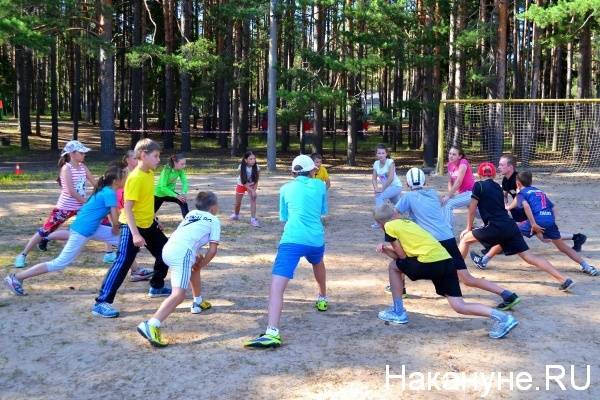 Олег Кувшинников поделился на совещании у Матвиенко региональным опытом организации летнего отдыха детей