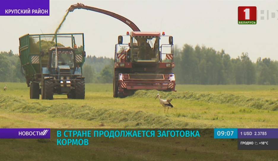 В Минской области продолжается заготовка кормов