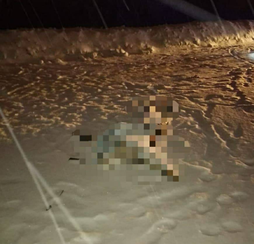 Житель Башкирии лег под колеса автомобиля и погиб на месте