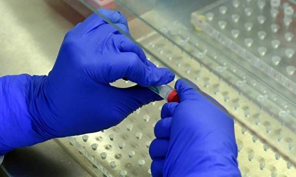 Рост продолжается: в Курганской области — 14 новых случаев коронавируса