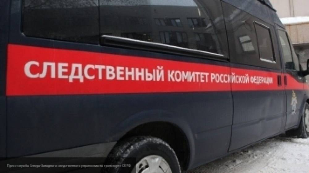 Готовившего теракт в школе Красноярска подростка признали психически нездоровым