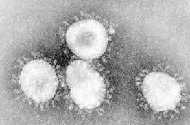 Иммунитет к коронавирусу есть у 14% россиян — Роспотребнадзор