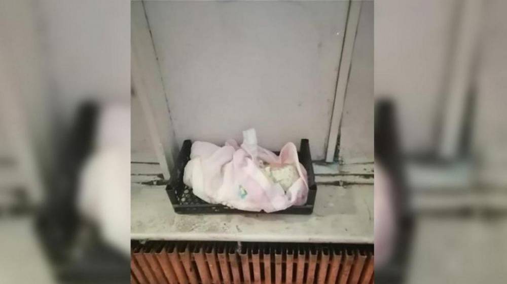 Грудного ребёнка в коробке подбросили в подъезд многоэтажки в Воронеже