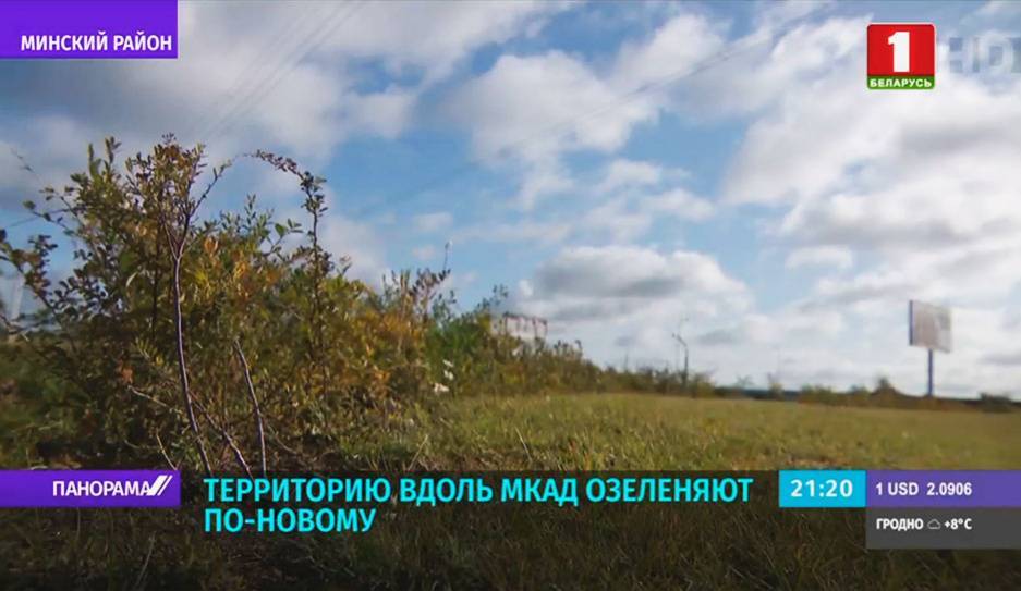 В Минске начался месяц благоустройства и озеленения территорий