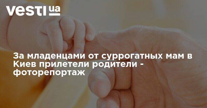 За младенцами от суррогатных мам в Киев прилетели родители - фоторепортаж
