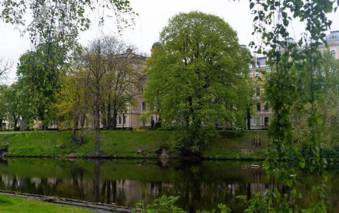 В рейтинг лучших университетов вошли три латвийских вуза