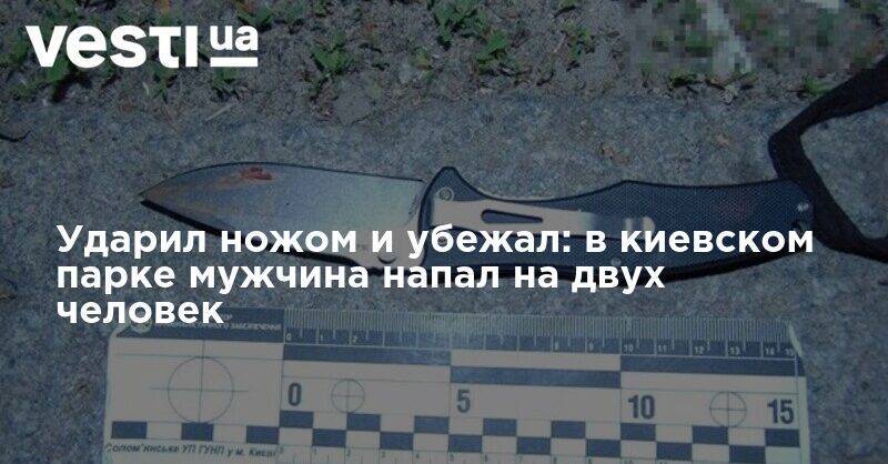 Ударил ножом и убежал: в киевском парке мужчина напал на двух человек