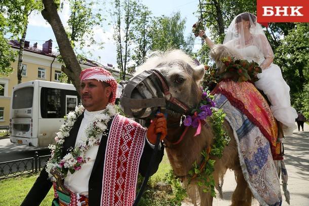 Ночь хны, поездка на верблюде и прогулки на воде: в Сыктывкаре сыграли свадьбу по-йеменски