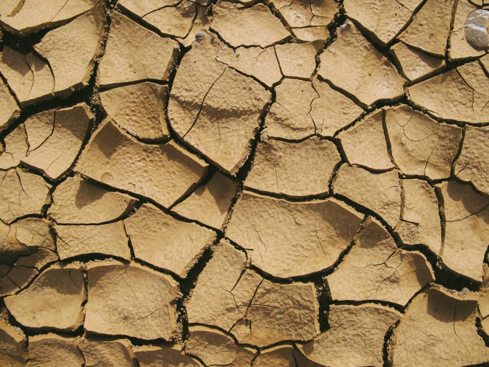 Ученые нашли способ предсказать летнюю засуху