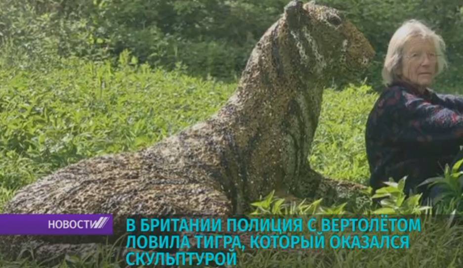 В Британии полиция на вертолете ловила тигра, который оказался скульптурой