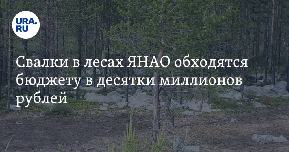 Свалки в лесах ЯНАО обходятся бюджету в десятки миллионов рублей. ФОТО