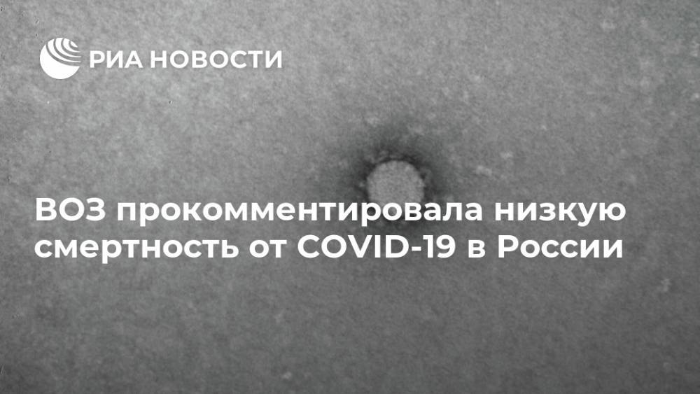 ВОЗ прокомментировала низкую смертность от COVID-19 в России